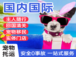 临汾尧都空运国际宠物托运 【国